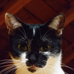 アロちゃん (5).jpg